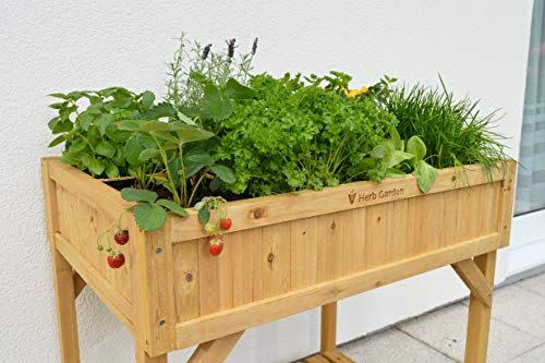 1) Raised Herb Garden