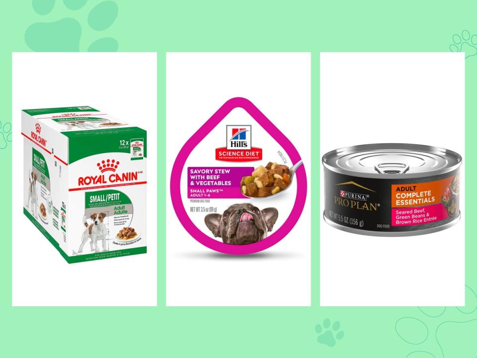 Three boxes of the best wet food for small dogs from Purina Pro Plan, Hill's, and Royal Canin on a green background.