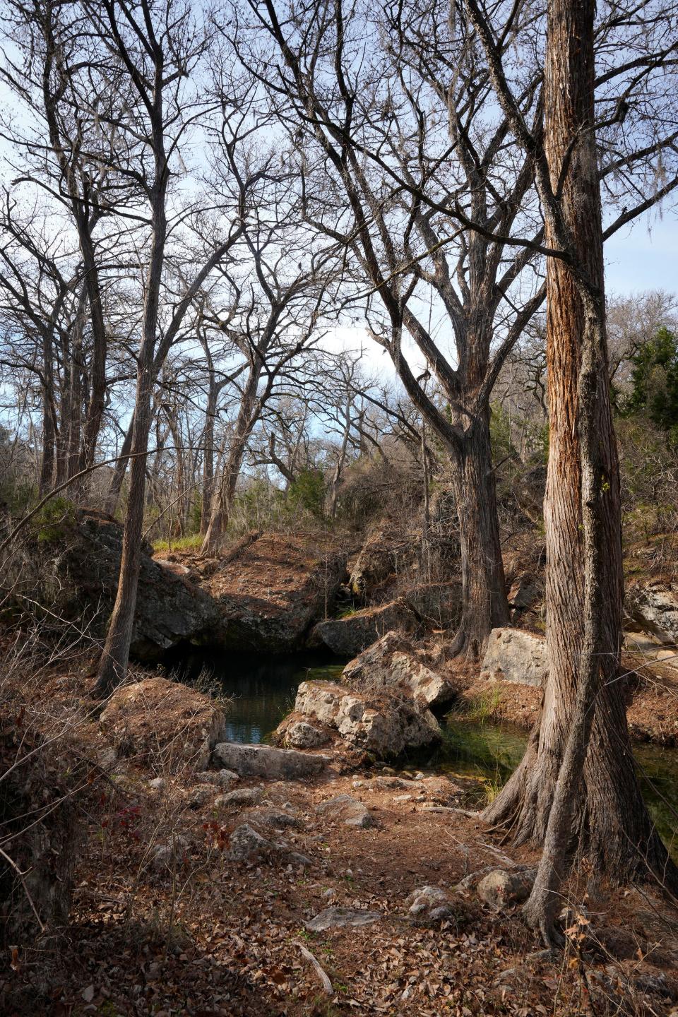 Water flows in Roy Creek Canyon near Dripping Springs. Environmentalists and area residents fear that wastewater treatment for the Mirasol Springs development could affect water quality and wildlife in the area.