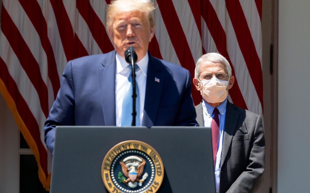 Donald Trump and Dr Anthony Fauci, the top US infectious diseases expert - Stefani Reynolds/POOL/EPA-EFE/Shutterstock