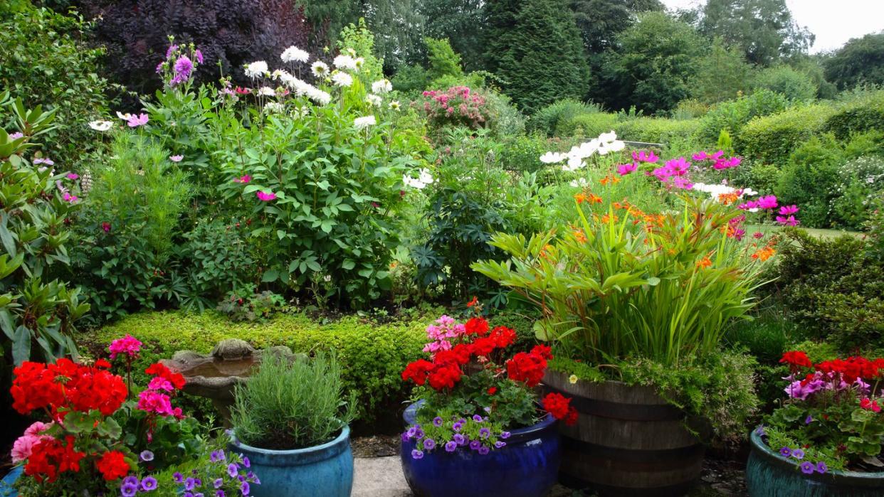 container gardening ideas