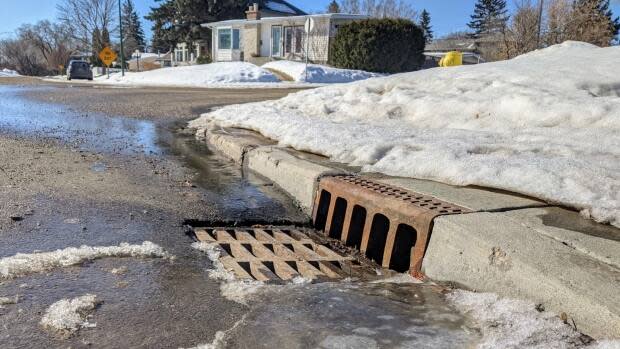 Keeping storm drains clear can help prevent flooding during the spring thaw. (Ashleigh Mattern/CBC - image credit)