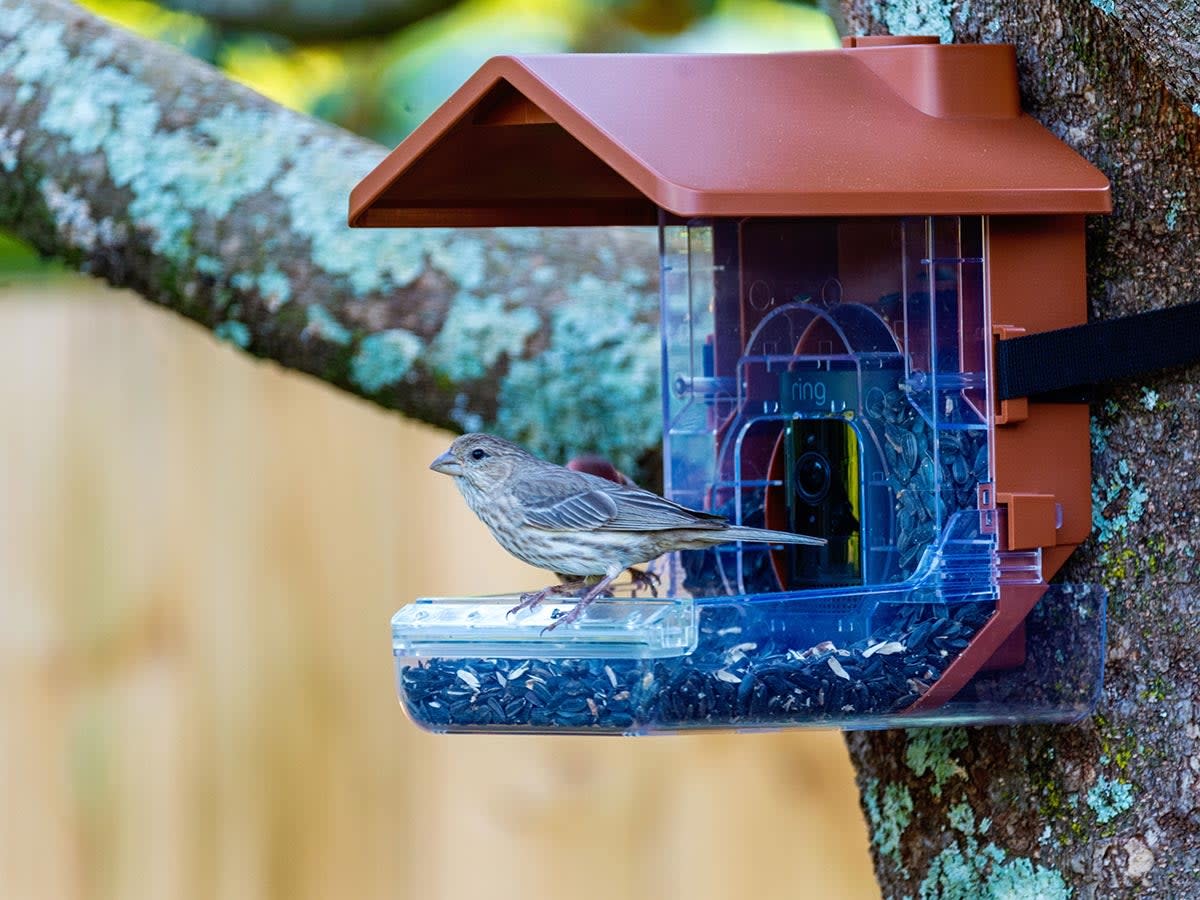 Wasserstein Bird Feeder Camera Case Review