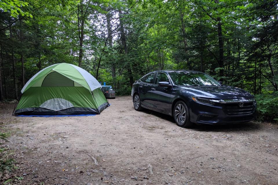 <p>2019 Honda Insight</p>