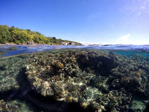 <span class="caption">Coral reefs are some of the most diverse ecosystems in the world</span> <span class="attribution"><span class="source">NOAA Fisheries</span>, <span class="license">Author provided</span></span>