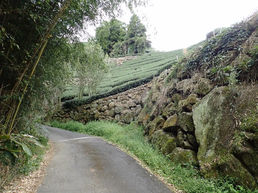 嘉義大風埕觀日峰＋油車寮步道