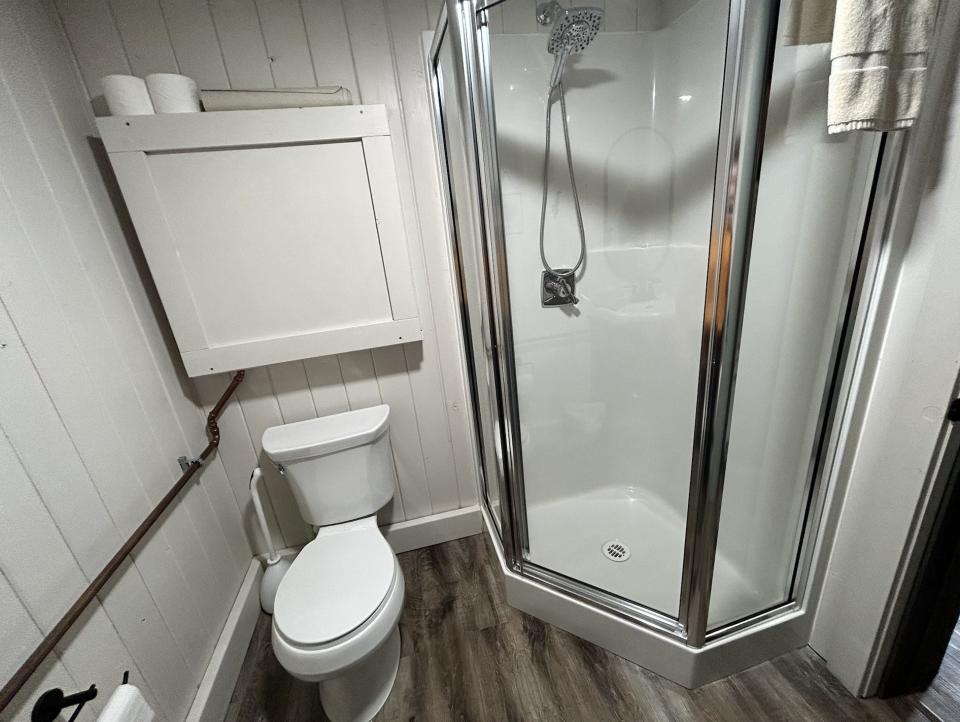 shower and toilet in white bathroom