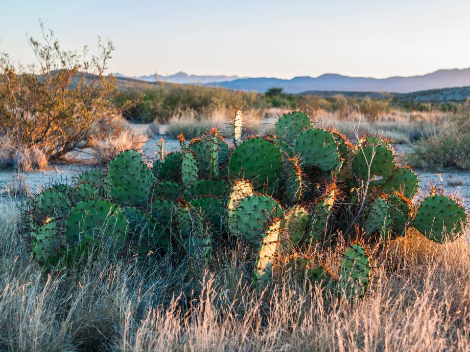 big bend