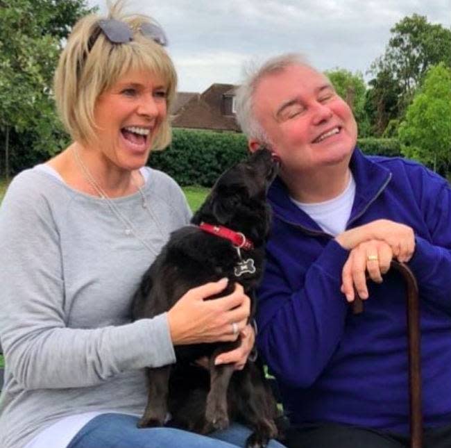 eamonn-holmes-ruth-langsford-worried-dog-maggie