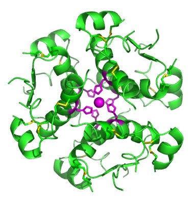 Insulin Hexamer