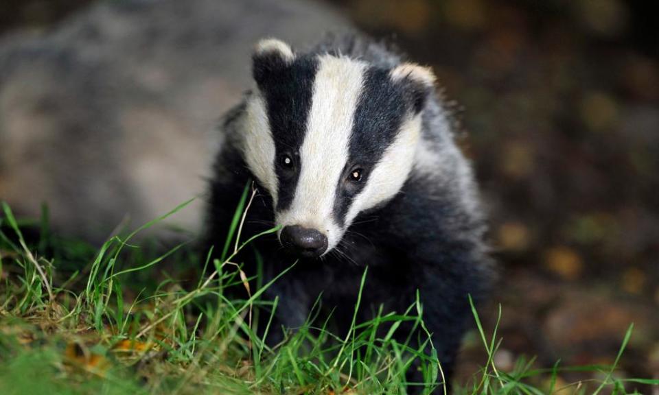 <span>Photograph: Ben Birchall/PA</span>