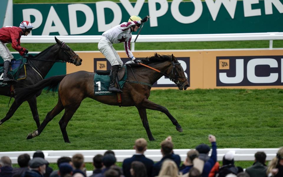 Jack Gilligan riding Buddy One at Cheltenham Racecourse in November 2023