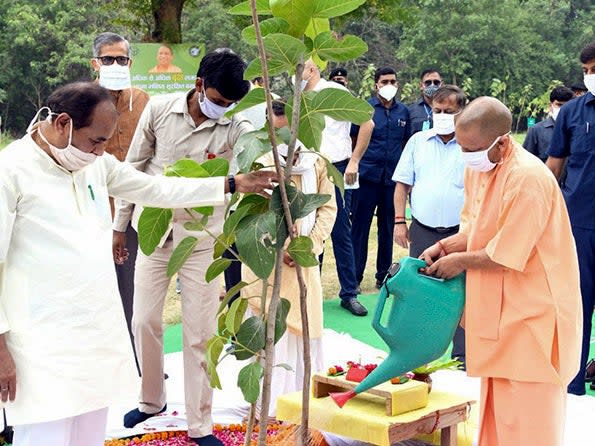 Uttar Pradesh's chief minister (right) inaugurates a day long tree planting campaign across the Indian state: AP