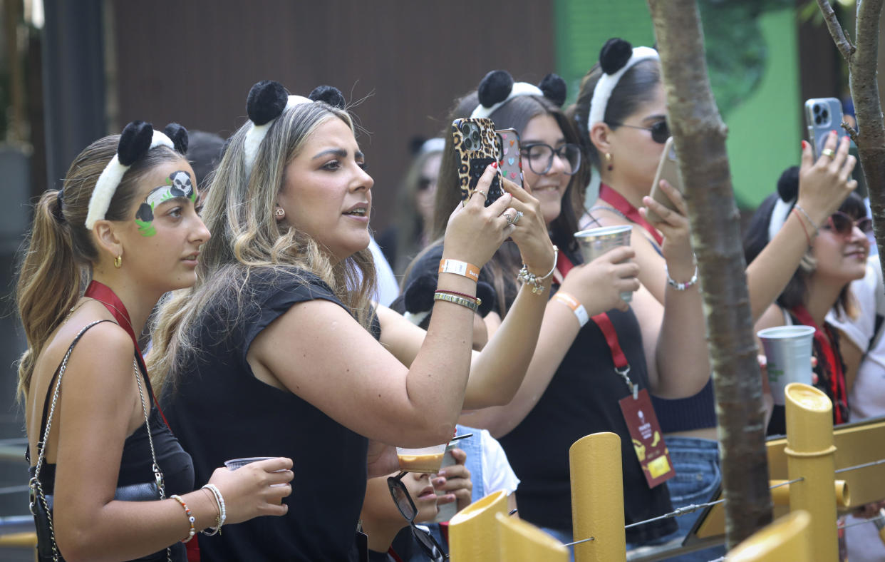 Visitors wearing panda headbands take photos of the newly arrived pandas.