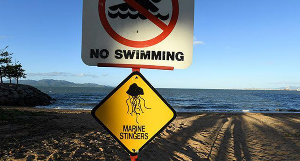 Irukandji jellyfish now pose a threat to swimmers south of Bundaberg, particularly around Fraser Island. Source: AAP