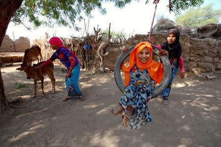 Saida Ahmed Baghili, 19, who is recovering from severe malnutrition, strokes a calf as her sisters Amal (front), 7, and Jalila, 12, play on a swing near their family's hut in al-Tuhaita district of the Red Sea province of Hodeidah, Yemen, October 20, 2017. REUTERS/Abduljabbar Zeyad