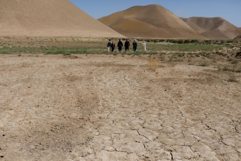 FILE PHOTO: Parched field is pictured in Balkh province
