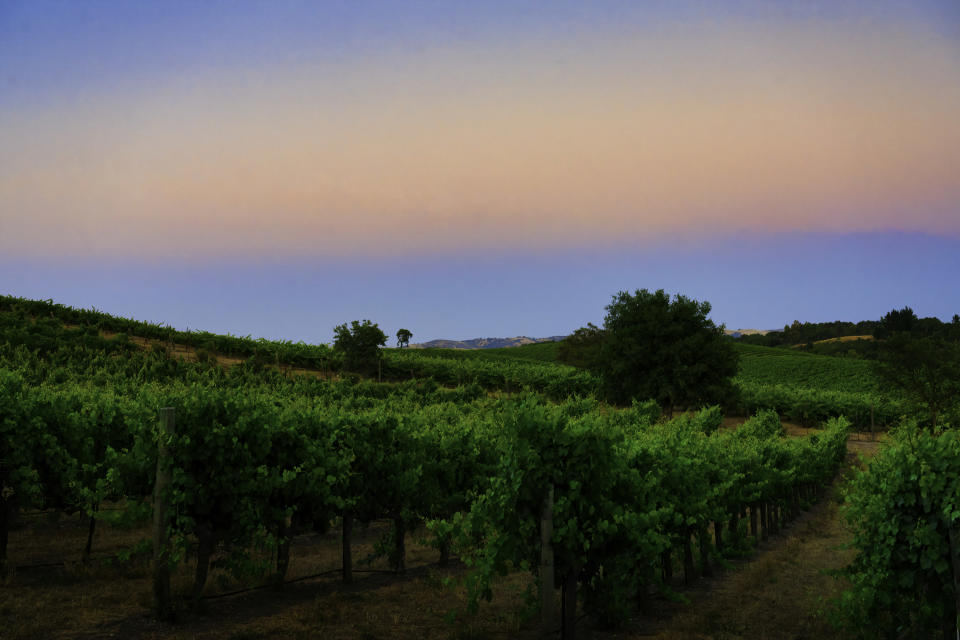 Pelletiere Estate Winery at Twilight, Paso Robles, California, United States.