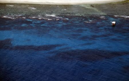 Tourists walk from a boat after diving in an area called the 'Coral Gardens' located at Lady Elliot Island, north-east of the town of Bundaberg in Queensland, Australia, June 9, 2015. REUTERS/David Gray