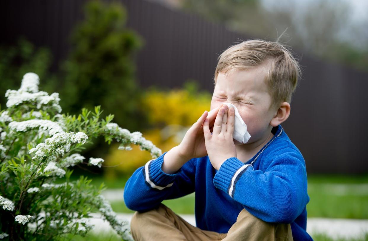 <a href="https://www.shutterstock.com/es/image-photo/child-pollen-allergy-boy-sneezing-blowing-1391699015" rel="nofollow noopener" target="_blank" data-ylk="slk:Sharomka / Shutterstock;elm:context_link;itc:0;sec:content-canvas" class="link ">Sharomka / Shutterstock</a>