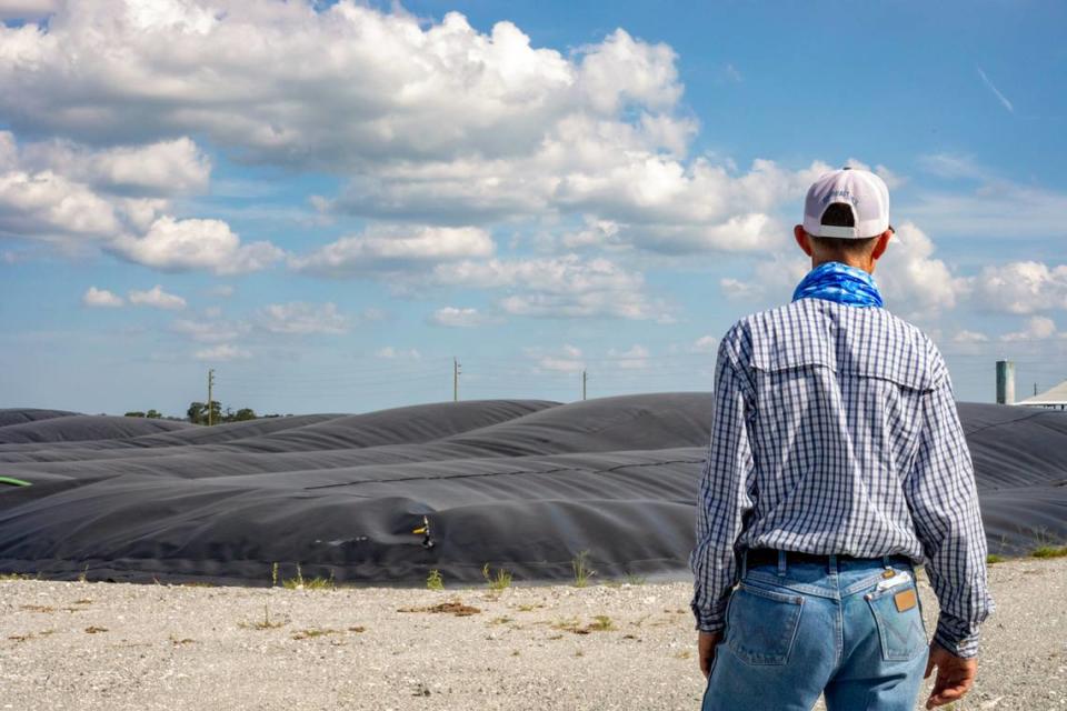 Jacob Larson looks at the anaerobic digester lagoon at Larson Dairy. ‘Bio-gas’ is generated in the anaerobic digester when microorganisms eat organic material in the absence oxygen.