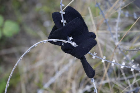 A glove left by a migrant is seen on razor-wire near train tracks which lead to the Channel Tunnel in Frethun, near Calais, France, July 29, 2015. REUTERS/Pascal Rossignol