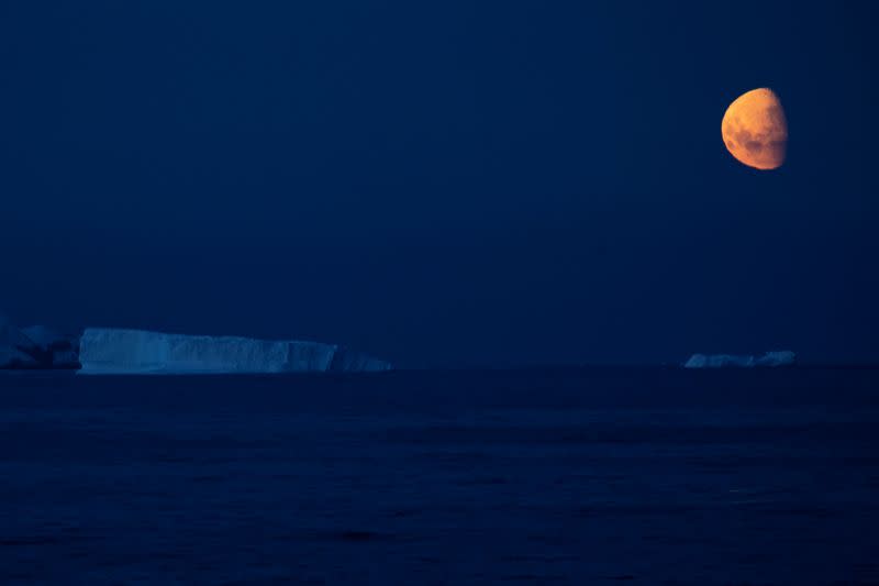 The Wider Image: On board the Antarctic expedition that reveals dramatic penguin decline