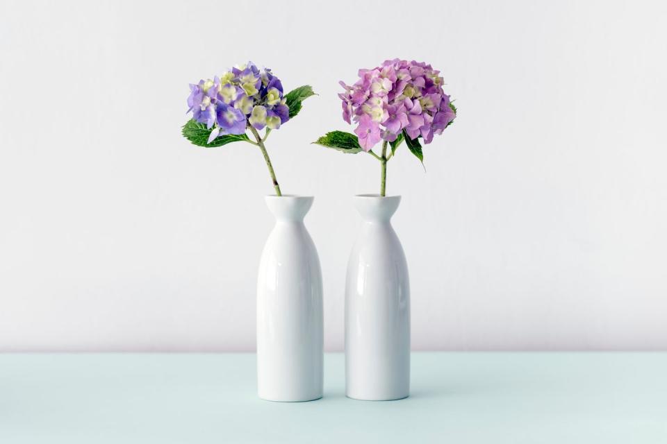 <p>Hydrangea symbolises the growing understanding between two people and is given on the fourth year of marriage. Plus, they look beautiful in any home. </p>