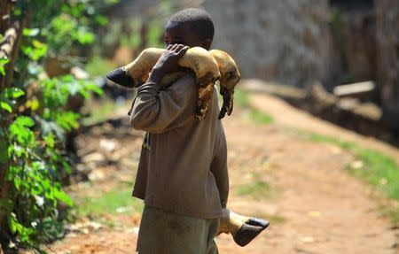 A boy carries cow hooves from a slaughter house in the town of Beni in North Kivu province of the Democratic Republic of Congo, August 2, 2018. REUTERS/Samuel Mambo