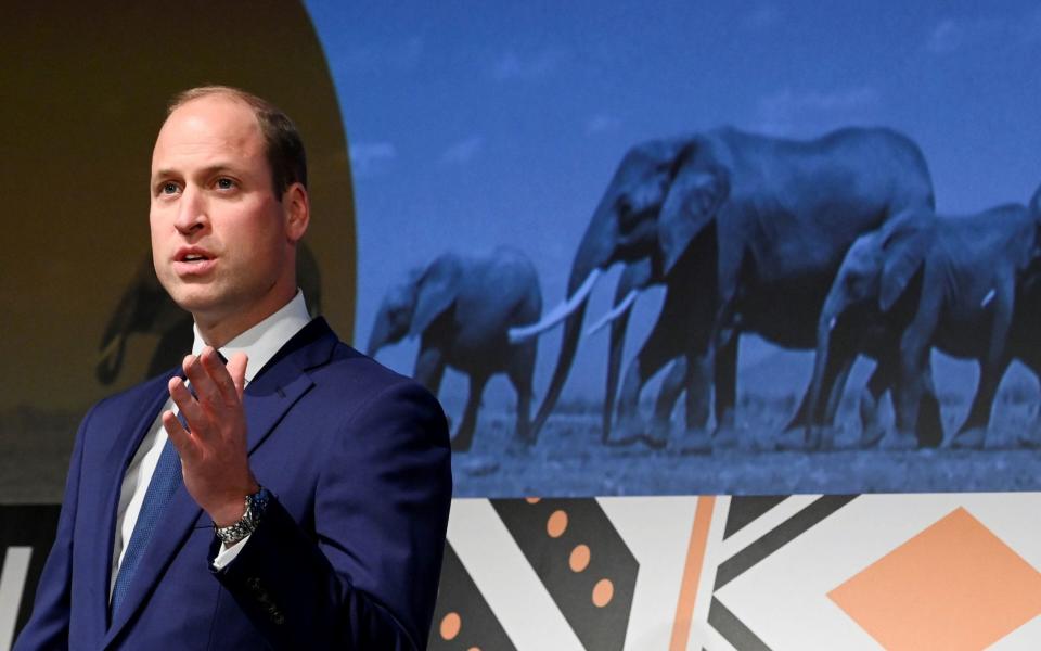 Prince William delivers a speech during the Tusk Conservation Awards in London in June 2022 - Toby Melville