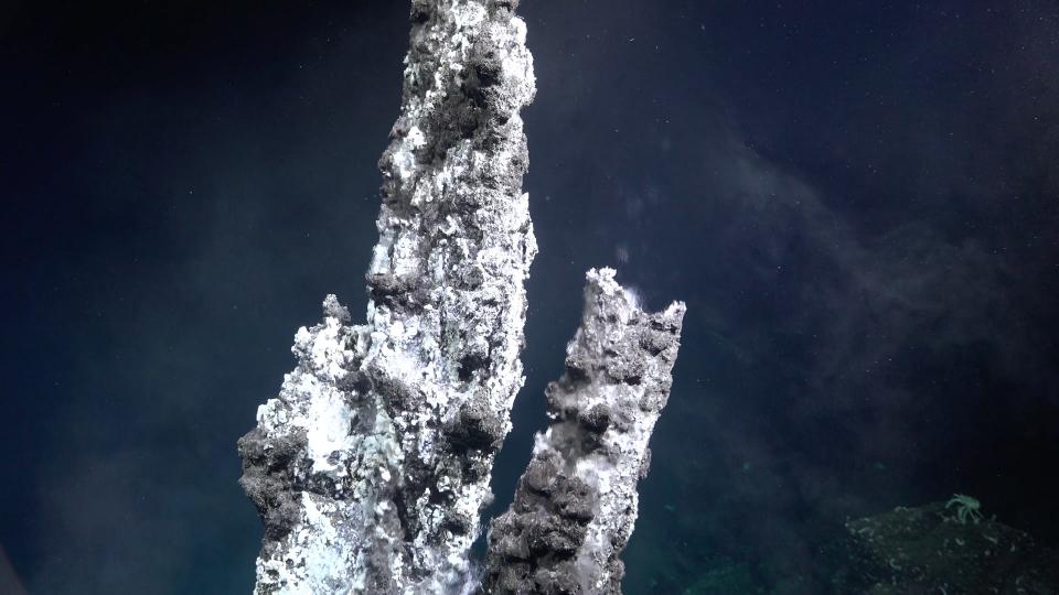 A greyish white vent chimney on the sea floor