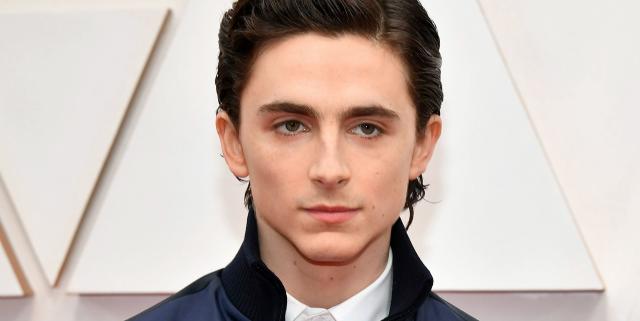 Timothée Chalamet's scruffy bedhead hair deserves all the awards