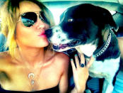 Celebrity photos: Miley Cyrus loves her pet pooches – this latest snap of the star giving her dog a kiss is just too cute.