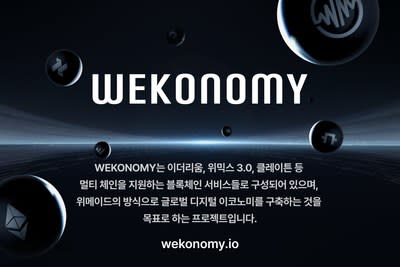 The WeKonomy project aims to provide various services including DeFi, NFT and metaverse that serve users' various needs, starting from Klaytn and expanding to support multi-chains such as Ethereum Layer 2 and WEMIX3.0.
