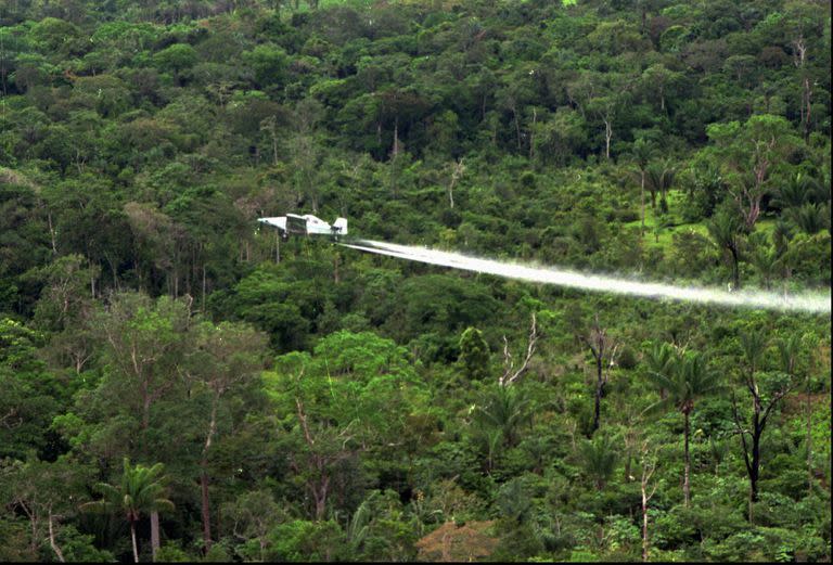 Un avión Turbo Thrush de la Policía Nacional rocía glifosato sobre la selva del sur de Colombia cerca de San José del Guaviare