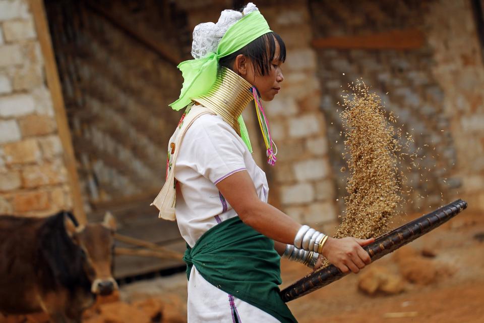 Muchas de las mujeres más jóvenes sólo llevan algunos collares ya que no se atreven a llevar una carga de más de diez kilos en adornos el resto de la vida. La instantánea muestra a una 'Kayan' preparando el arroz al lado de su casa.