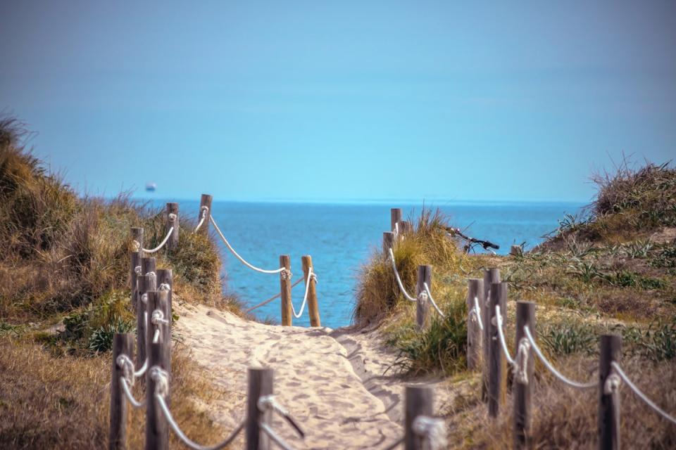 El Saler lies in the Albufera national reserve (Getty Images)