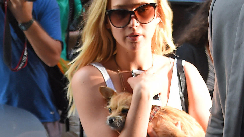 Jennifer Lawrence and her dog in New York  (Photo by Josiah Kamau/BuzzFoto via Getty Images)