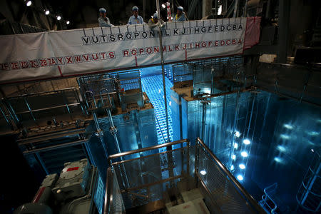 Employees of Kyushu Electric Power Co. hoist a fuel rod using a crane from a spent fuel pool at Sendai nuclear power station, in Satsumasendai, Kagoshima prefecture, Japan, July 8, 2015. REUTERS/Issei Kato