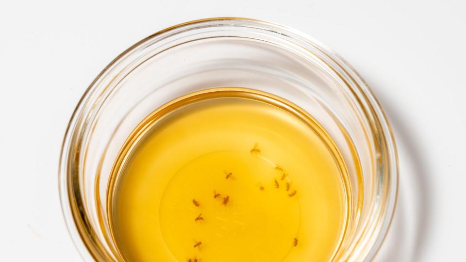home remedy for catching fruit flies and small insects with glass bowl of cider vinegar and drop of detergent