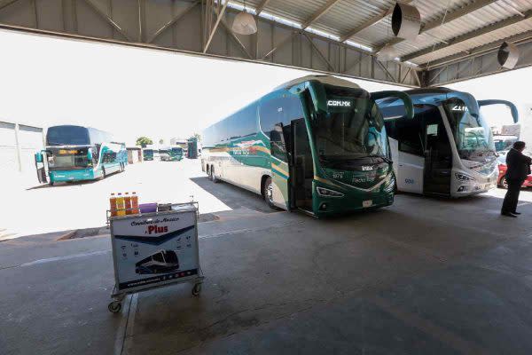 Aprovecha los descuentos en transporte estas vacaciones de verano 2024