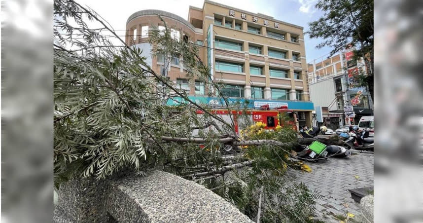 「軒嵐諾」颱風襲台全台有感，昨天下午開始各地颳起強風，彰化市區不斷傳出路樹倒塌意外，甚至還有路人被壓傷。（圖／民眾提供／吳建輝彰化傳真）