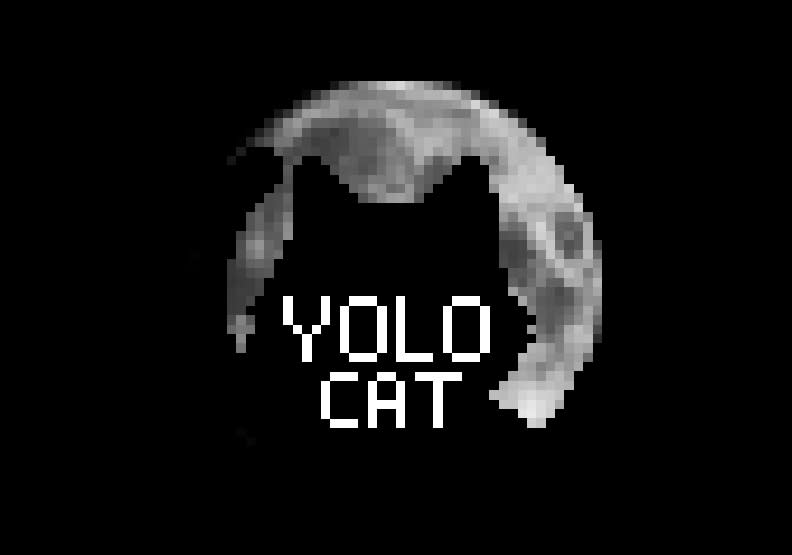 藝人陳零九發行的NFT「YOLO Cat Club」。取自Opensea