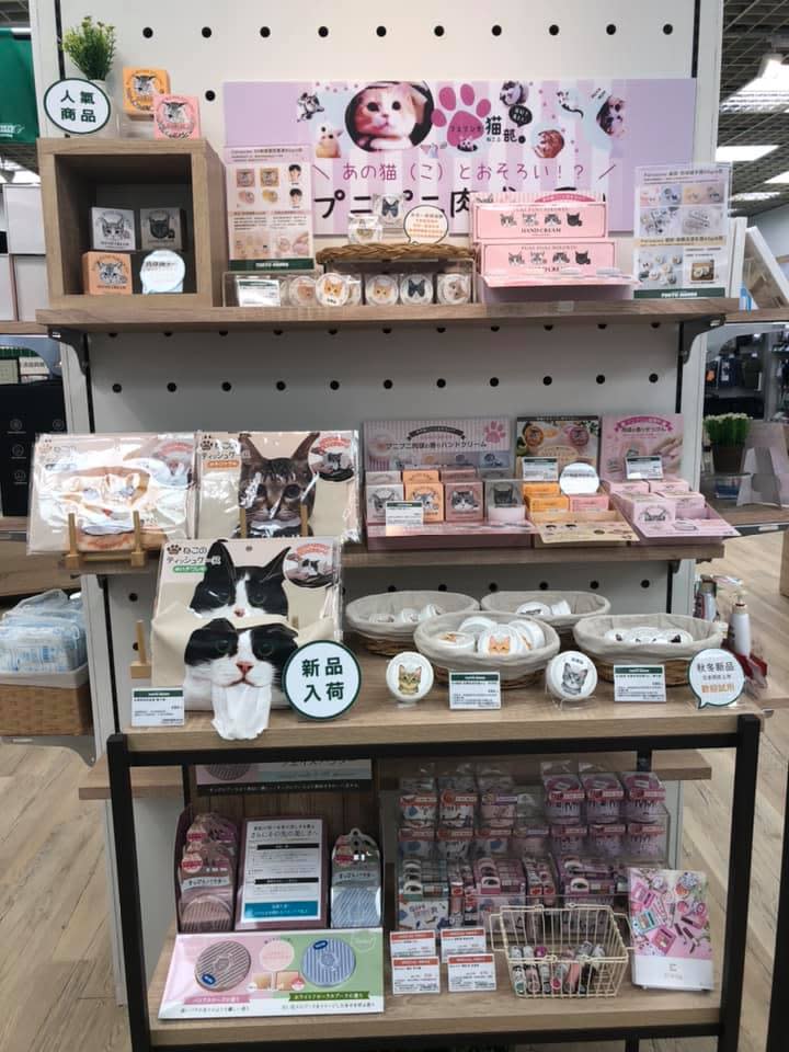 ▲台隆引進Felissimo貓部系列商品。（圖／TOKYU HANDS 台隆手創館臉書）