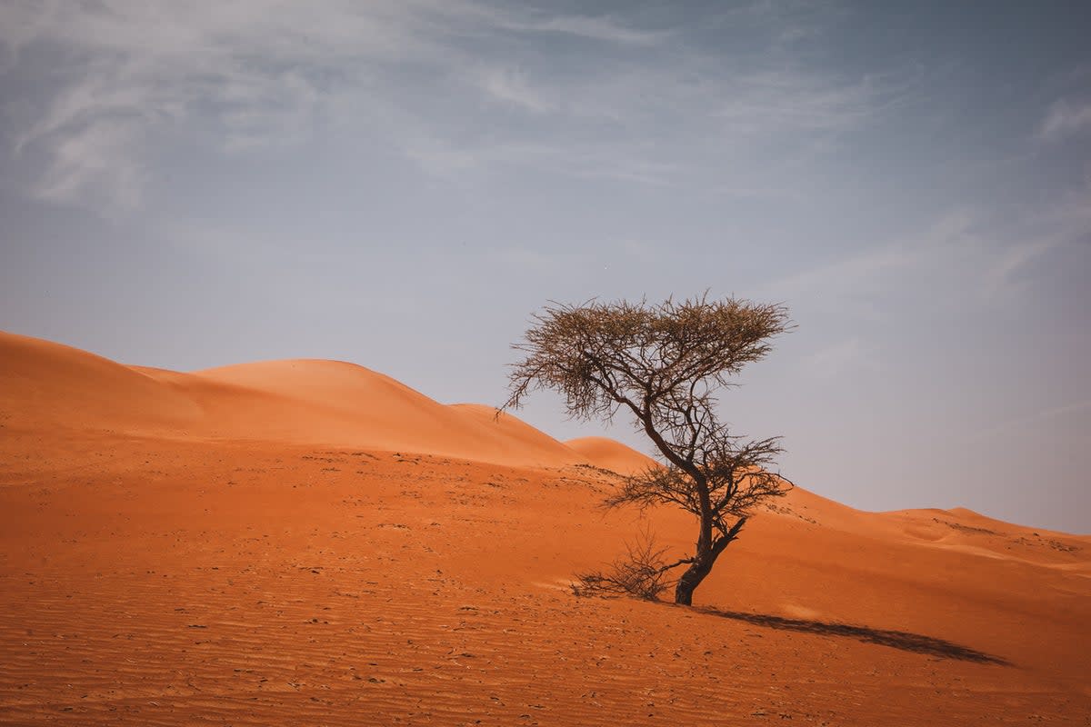 The Sharqiya Sands were formerly known as the Wahiba Sands (Getty Images/iStockphoto)