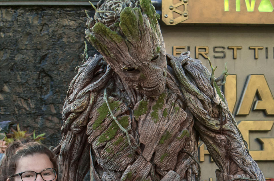 <p>A life-sized (adult) Groot roams around outside the <em>Guardians</em> ride for a guest photo op. During the “Summer of Heroes” event, other Marvel mainstays, including Spider-Man, Captain America, Black Widow, and Hawkeye, will be stationed throughout Disney’s California Adventure’s Hollywood Land. (Photo: Disneyland Resort) </p>
