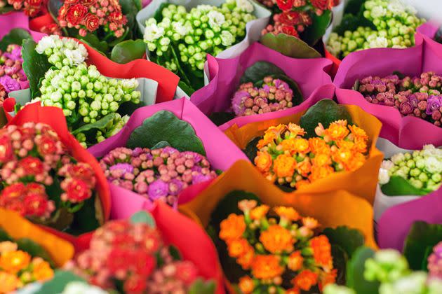 Kalanchoe flowers can be dangerous if consumed by your pet. (Photo: Nadya So / 500px via Getty Images)