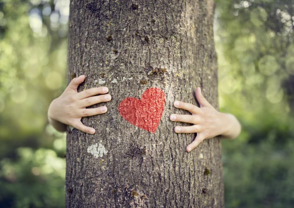 Tree hugging, little boy giving a tree a hug with red heart concept for love nature