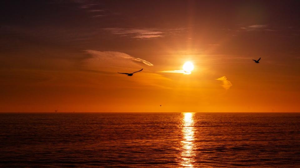 Oxnard State Beach via Getty Images