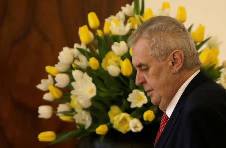 Czech President Milos Zeman arrives to announces his decision to run for another term as president at Prague Castle in Prague, Czech Republic March 10, 2017. REUTERS/David W Cerny